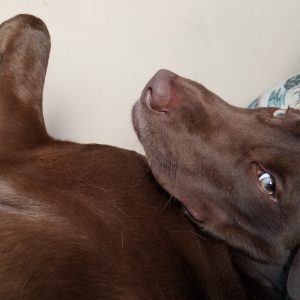 Aunum's Spirit Lives On.