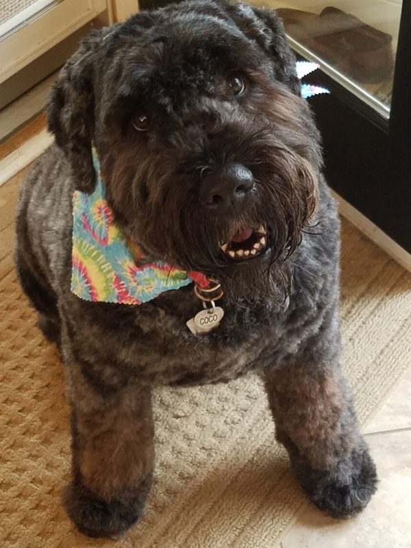 Coco Chanel