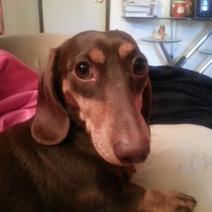 Bowser's story with cancer