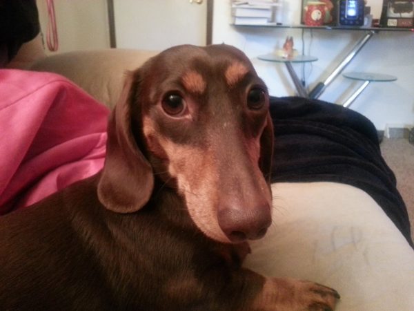 Bowser's story with cancer