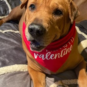 Meet our Buddha Boy!