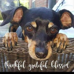 We will reunite someday.