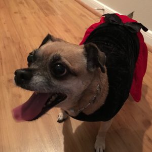 Flora's Happy Christmas Dress