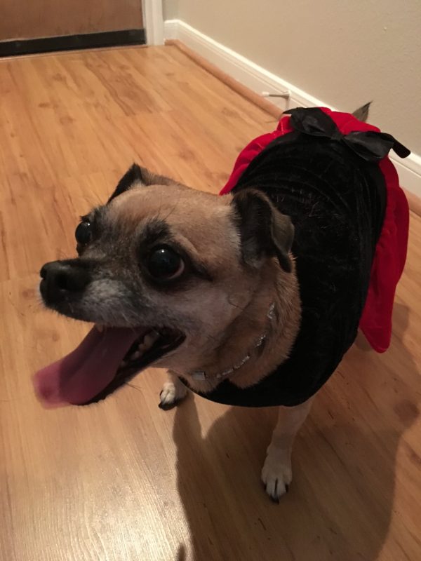 Flora's Happy Christmas Dress