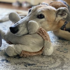 Soft Toy, Softer Heart