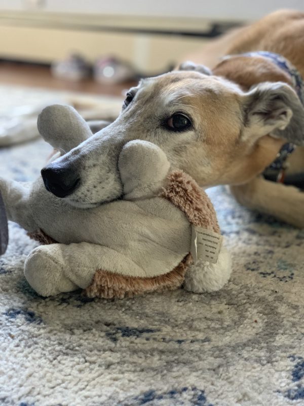 Soft Toy, Softer Heart