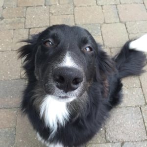 Talisman Let's give is a whirl aka Twist