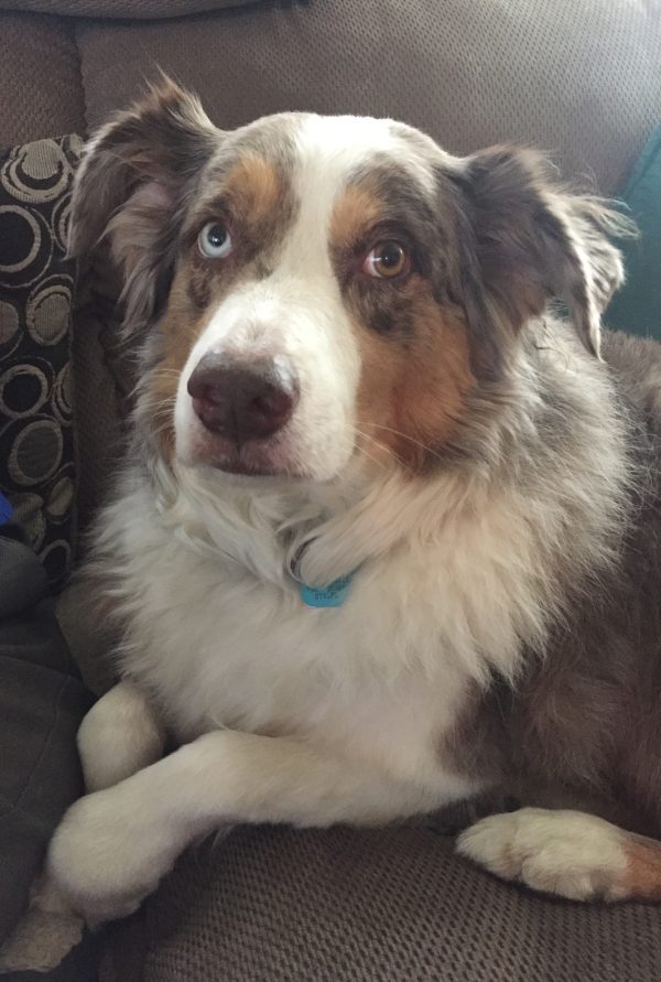 Our marvelous Mia