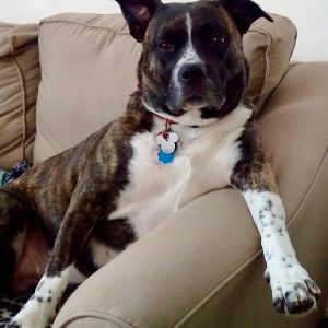 It’s the little things that matter the most