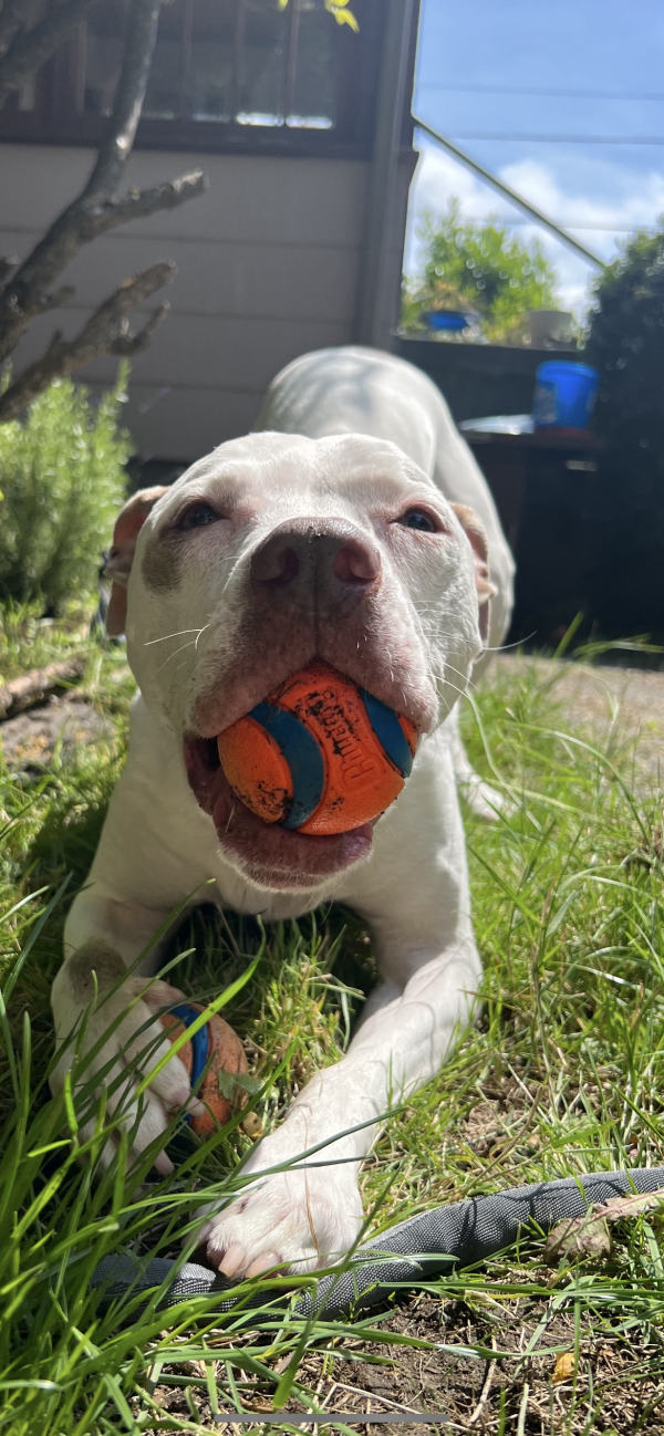 Hope in the summer