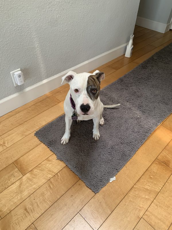 Petey