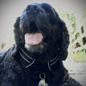 Heaven deserves an angel.