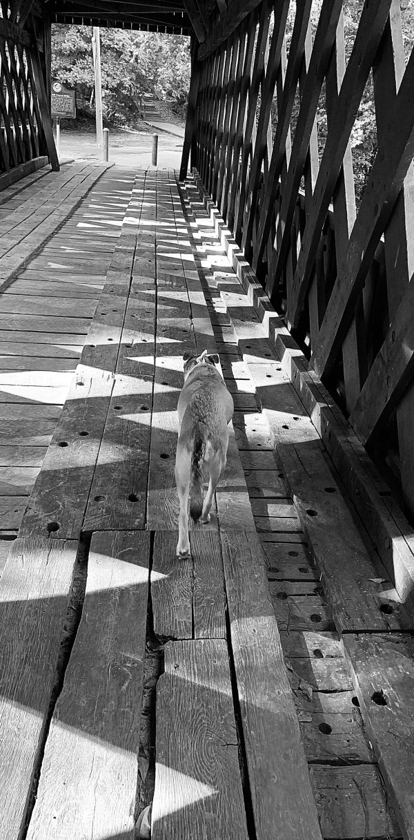 The Bridge