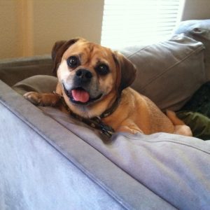 A life of joy and love