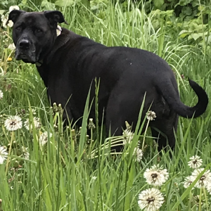 Taking A Break From Cancer