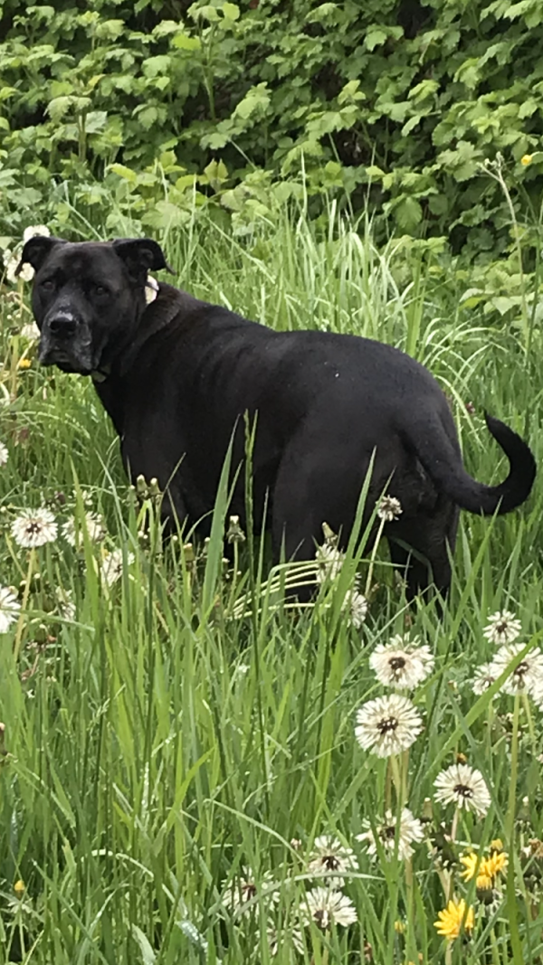 Taking A Break From Cancer