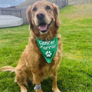 Brooks. A warrior, lover, companion, and friend.