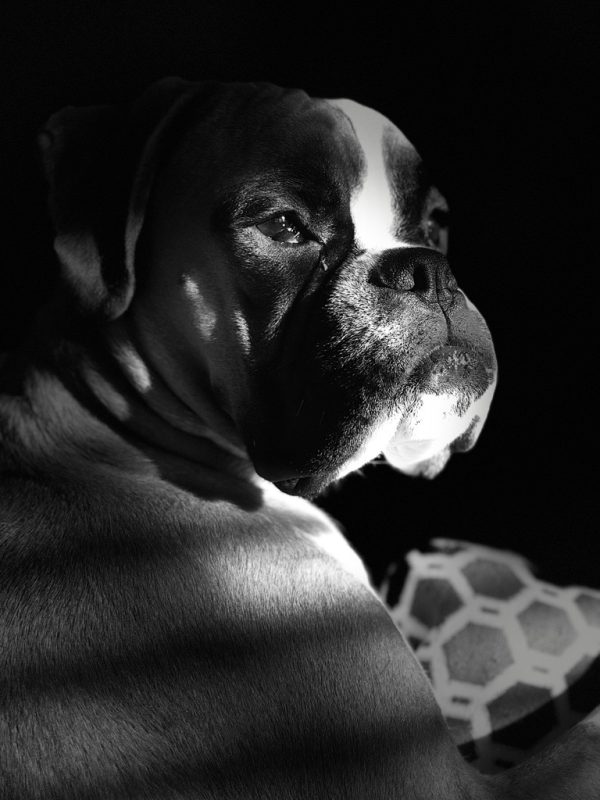 Kalia