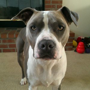 Lola (the ultimate Survivor)