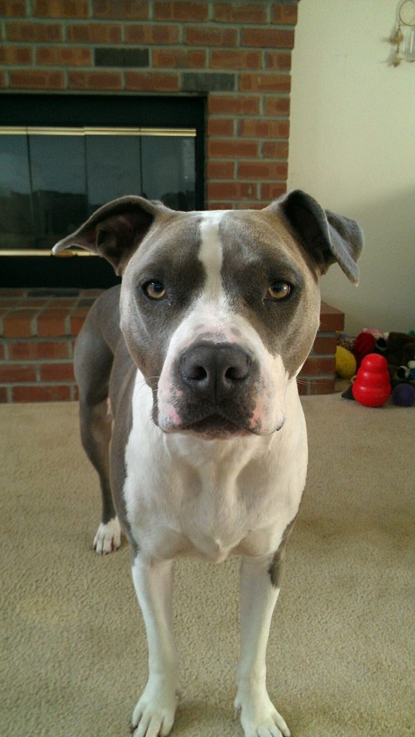 Lola (the ultimate Survivor)