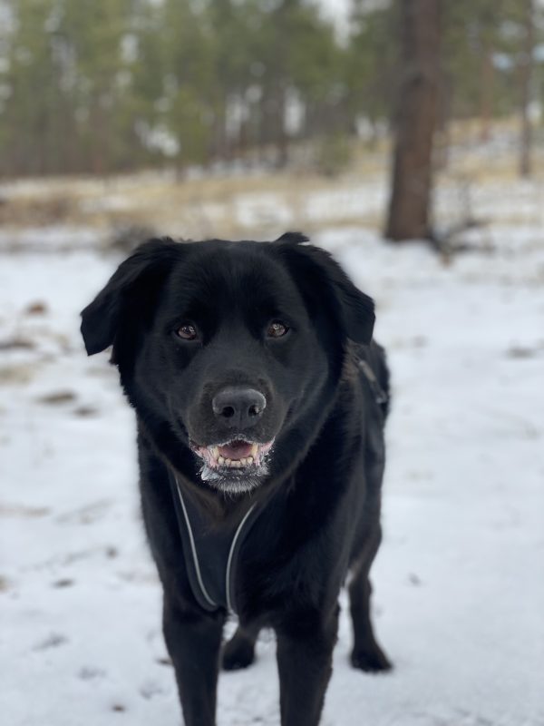 Marley