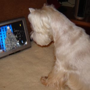 Nico and his very own TV
