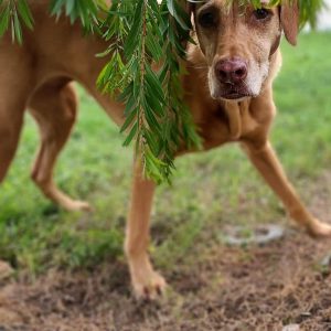 The look says it all