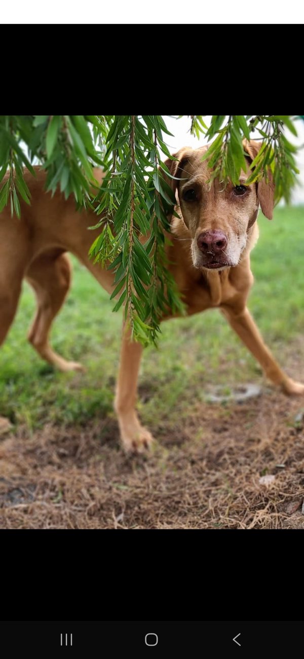 The look says it all