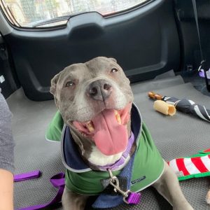 Our little warrior Sky