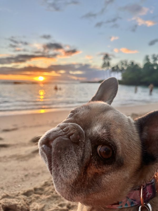 Life's a Beach!