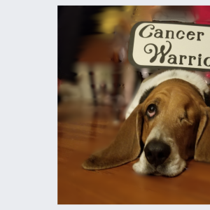 Yardley: Cancer Warrior!