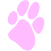 Paw