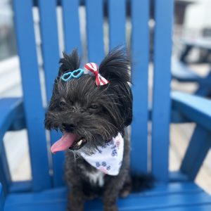 Celebrating Freedom from Radiation