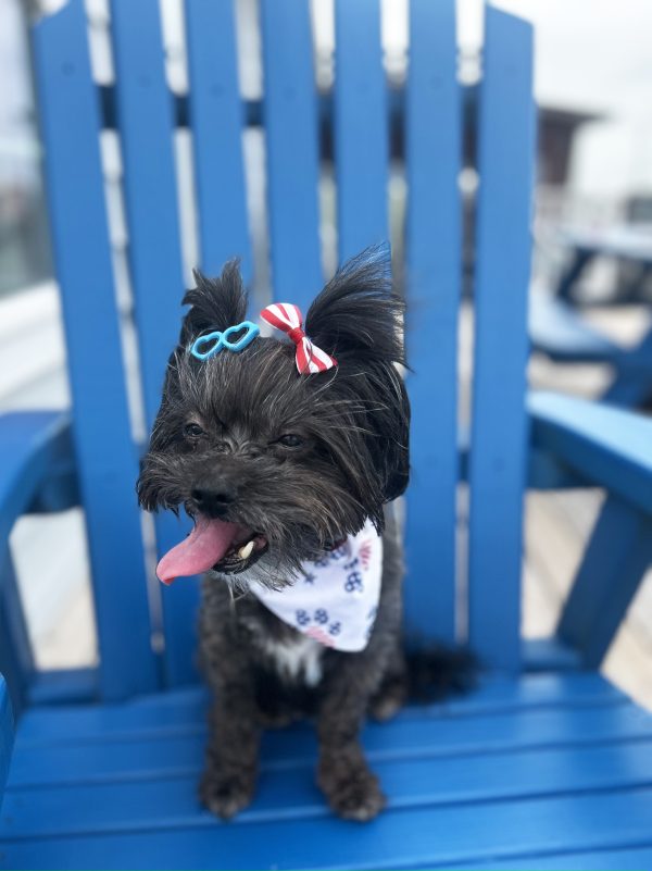 Celebrating Freedom from Radiation