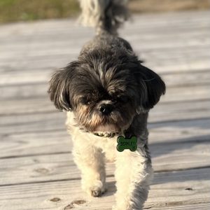 Relax, you're camping!