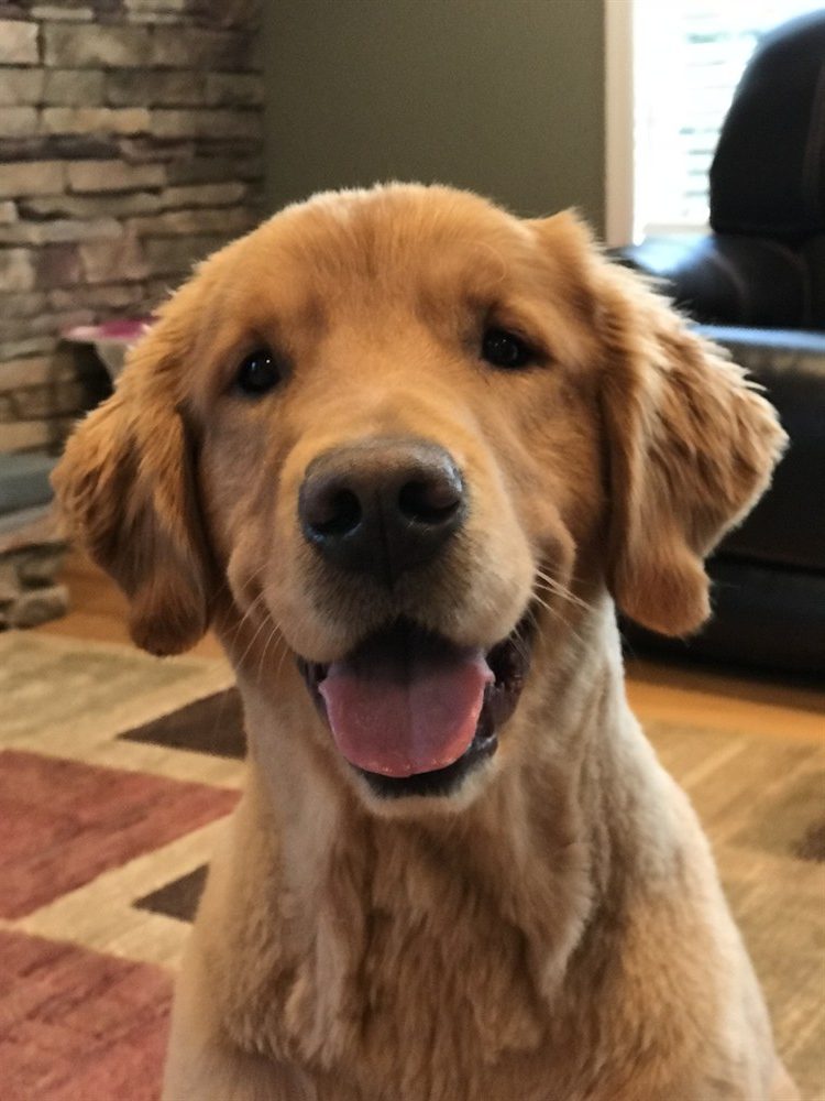 Cooper