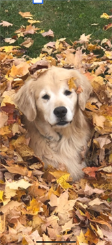 Duncan