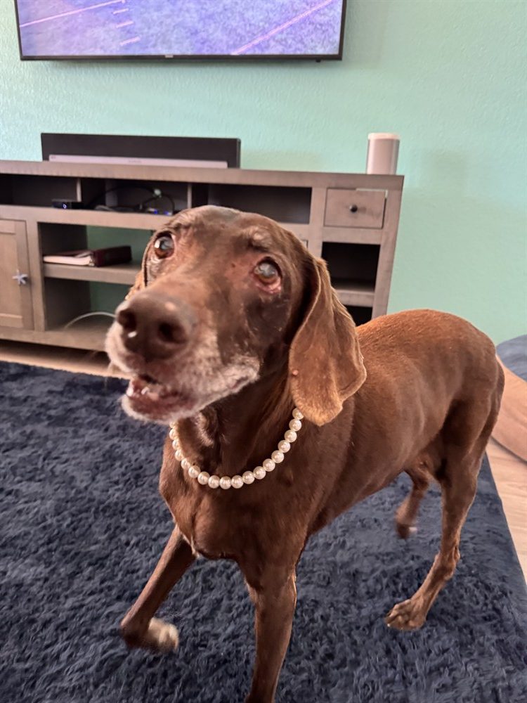 Kona