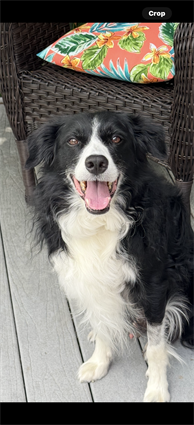 Wally