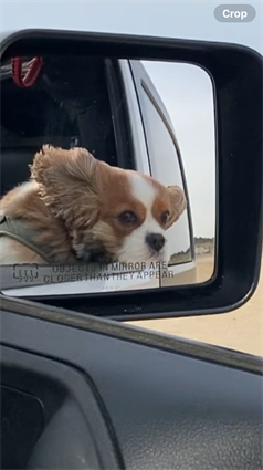 Mia